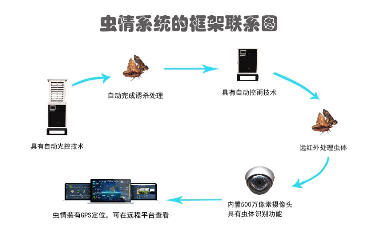 虫情框架联系图